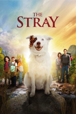 Watch The Stray Movies Online Free