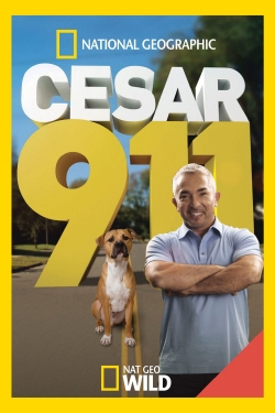 Watch Cesar 911 Movies Online Free