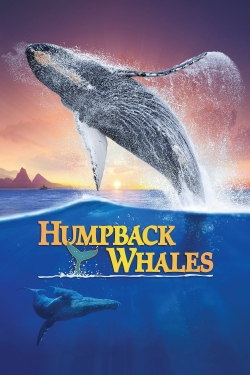 Watch Humpback Whales Movies Online Free