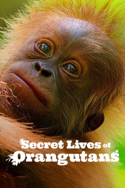 Watch Secret Lives of Orangutans Movies Online Free