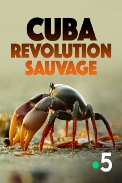 Watch Cuba, révolution sauvage Movies Online Free