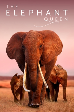 Watch The Elephant Queen Movies Online Free