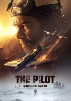 Watch The Pilot. A Battle for Survival Movies Online Free