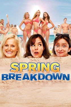 Watch Spring Breakdown Movies Online Free