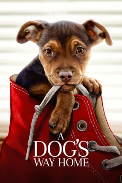 Watch A Dog's Way Home Movies Online Free