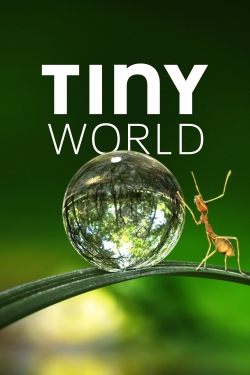 Watch Tiny World Movies Online Free