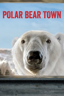 Watch Polar Bear Town Movies Online Free