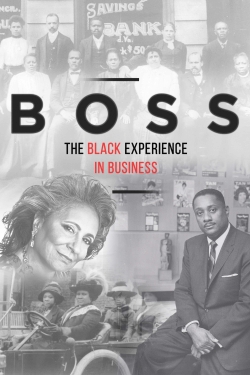 Watch BOSS: The Black Experience in Business Movies Online Free