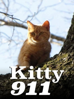 Watch Kitty 911 Movies Online Free