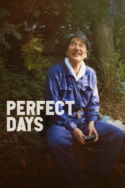 Watch Perfect Days Movies Online Free