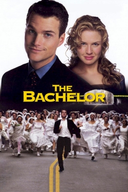 Watch The Bachelor Movies Online Free