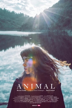 Watch Animal Movies Online Free