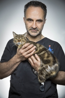 Watch The Supervet Movies Online Free