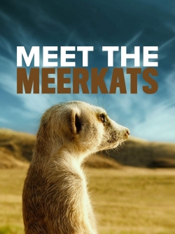 Watch Meet The Meerkats Movies Online Free