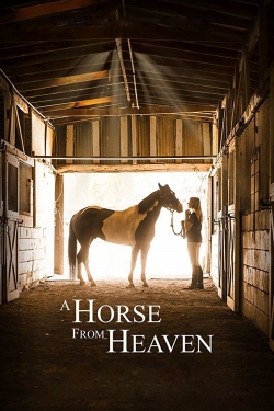 Watch A Horse from Heaven Movies Online Free