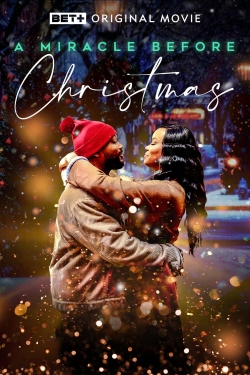 Watch A Miracle Before Christmas Movies Online Free